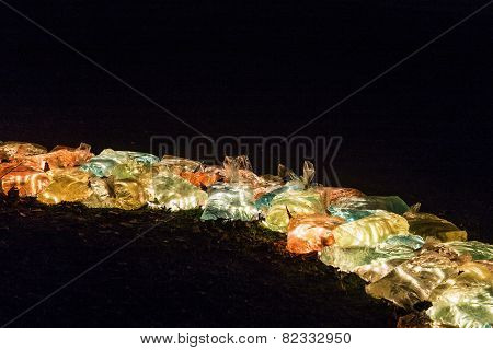 Event Winterlichter  In The Palmgarden