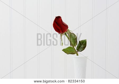 Closeup of a red rose bur with water droplets in a white vase against a white beadboard background. Horizontal format with copy space.