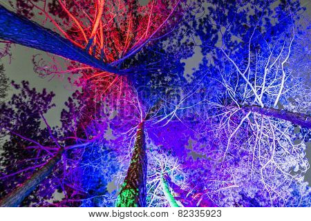 Event Winterlichter  In The Palmgarden