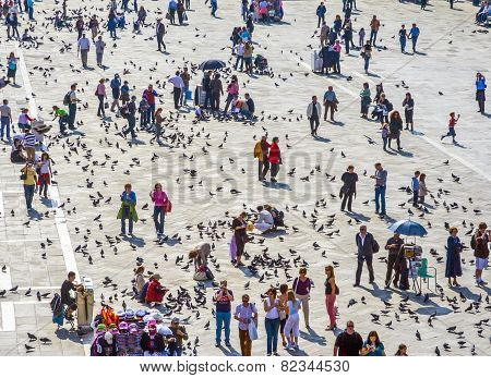 People Feeding The Pigeons In Venice, Italy