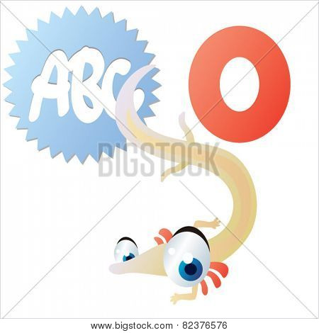vector isolated cute happy big eyes abc animals: O is for Olm