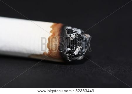 cigar