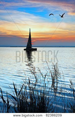 sailing in the blue sea
