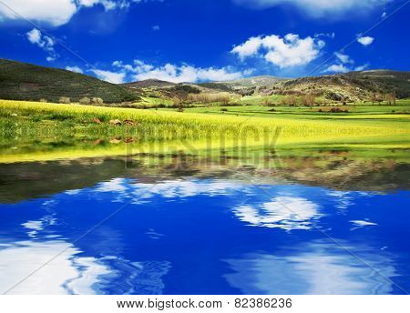 the meadow and the lake