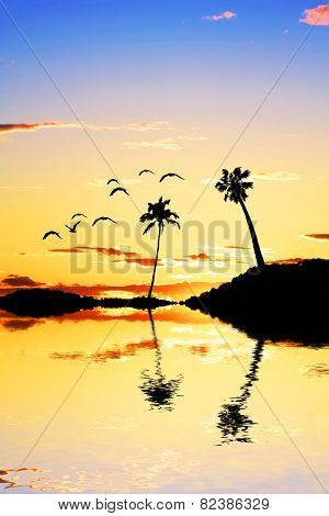 tropical island
