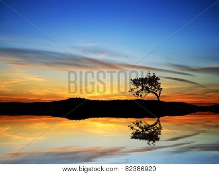 tree in the lake color