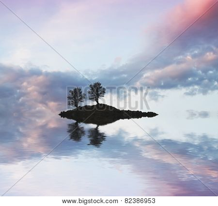 the island and the trees