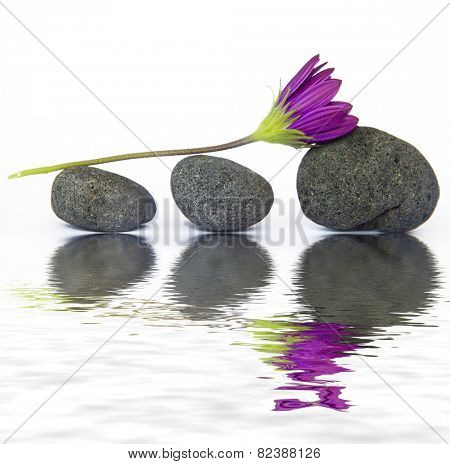 Rest