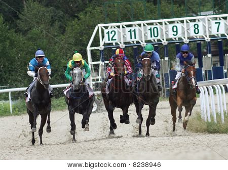 Start Of The Race.