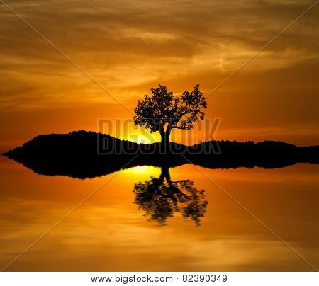 gold mirror
