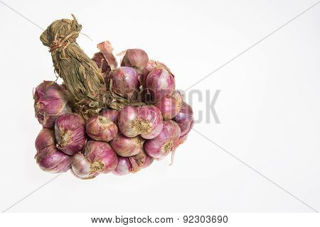 Shallots