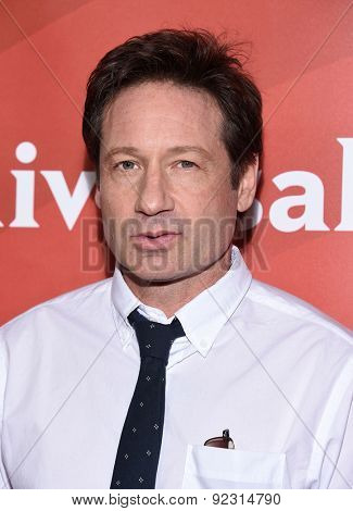 LOS ANGELES - APR 02:  David Duchovny arrives to the NBCUniversal's Summer Press Day 2015  on April 02, 2015 in Hollywood, CA                