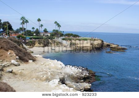 Plaży w La Jolla