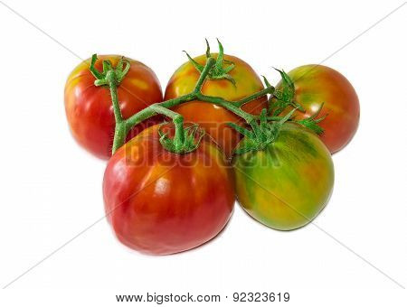 Bunche Of Tomatoes