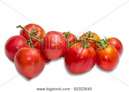 Bunches Of Tomatoes