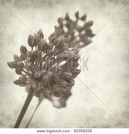 Textured Old Paper Background