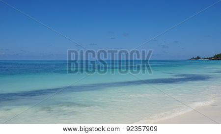 Nautral Tropical Paradise