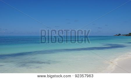 Nautral Tropical Paradise