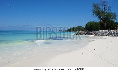 Nautral Tropical Paradise