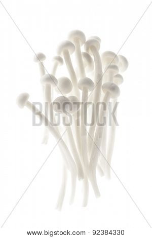 Several enoki mushrooms isolated on white background