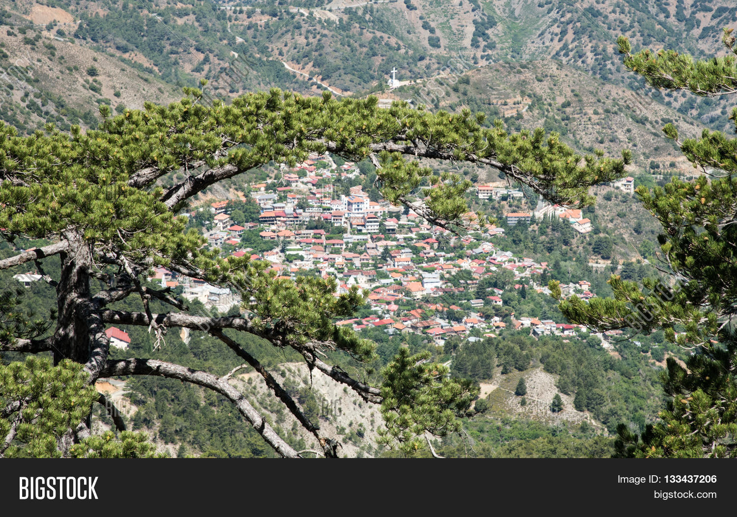 Image Preview