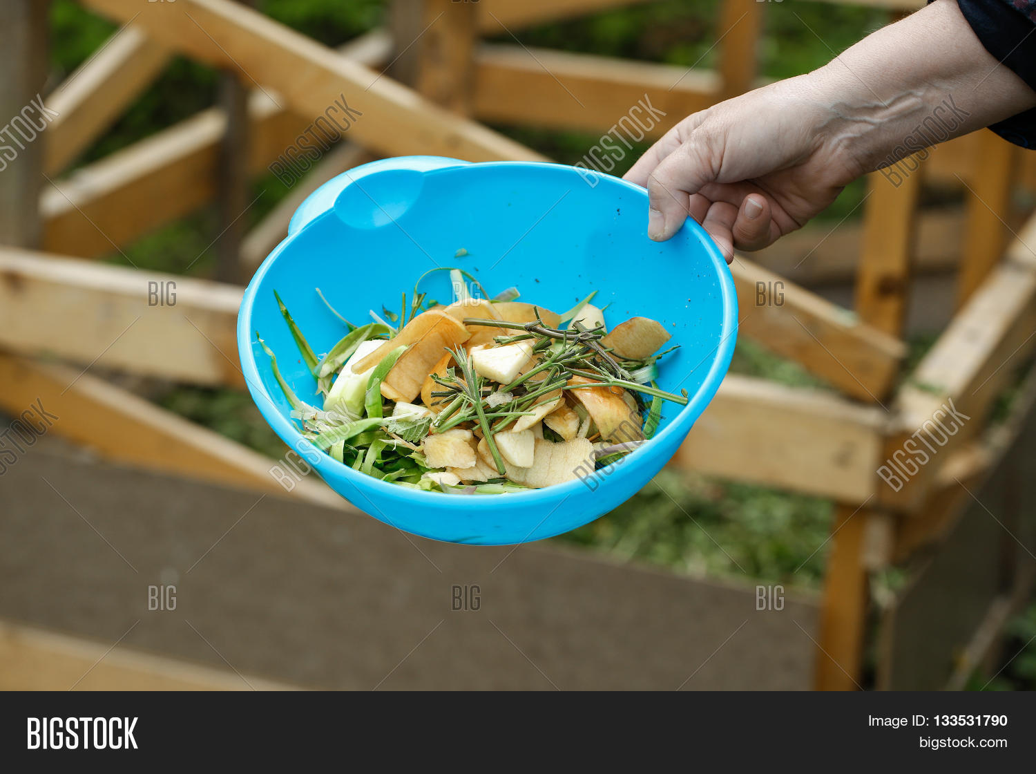 Image Preview