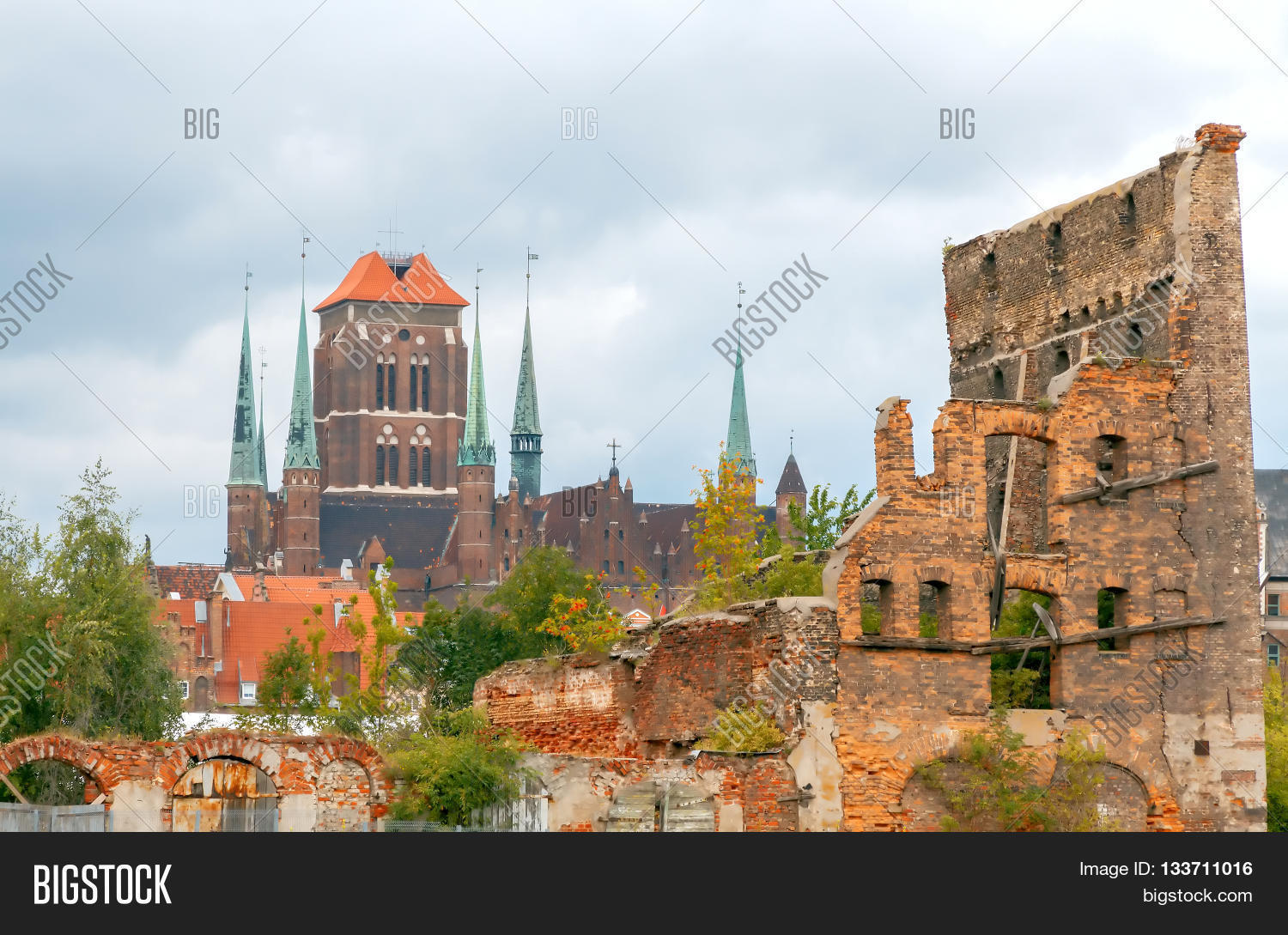 Image Preview