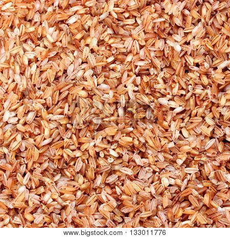 Red rice devzira close up food background