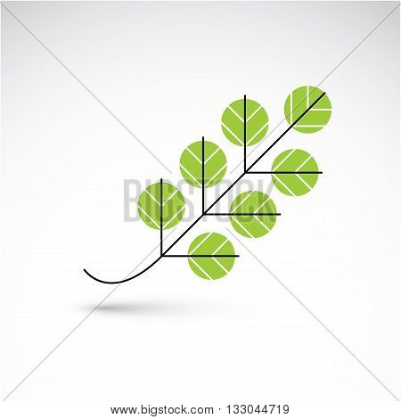 Spring Ash Leaf, Botany And Eco Flat Image. Vector Illustration Of Herb, Natural And Ecology Element