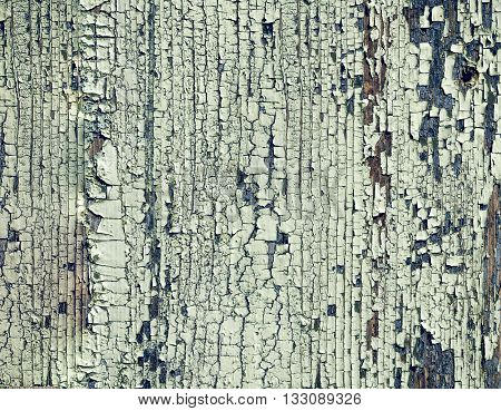 texture of old wooden surface covered with several layers of paint cracked