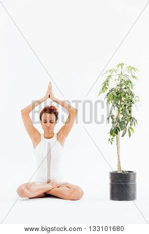 Curly african american young woman practicing lotus yoga pose near small tree in pot over white background