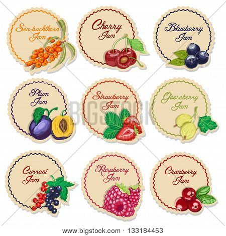 Set of isolated labels for jam from berries. Vector illustration for your design