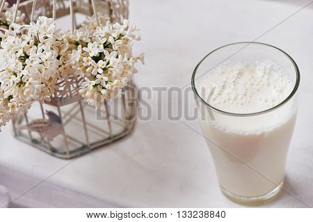 A glass of milk and bowl of insipidity. White background