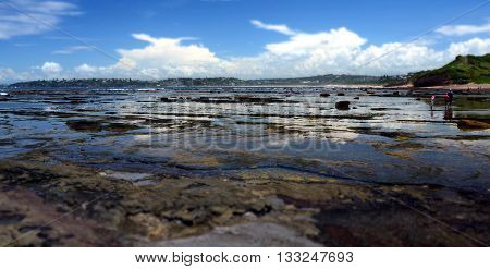 Low tide at Long Reef Headland, Sydney Australia