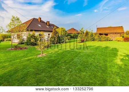Backyard of a family house. Landscaped garden with spacious area of green mown grass, plants and trees, wood shelter, barbecue.