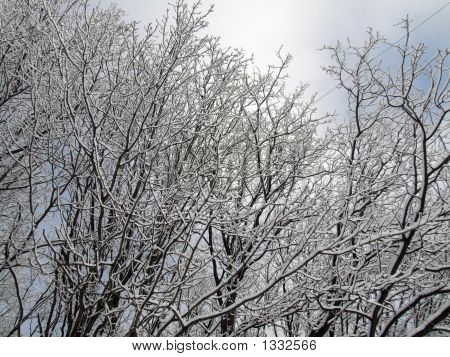 Филиалы и облака.