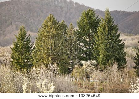 Beautiful landscape of Topesti village in Romania