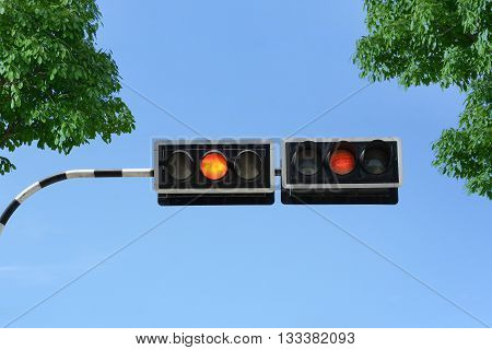 Traffic signal with green leaves and blue sky