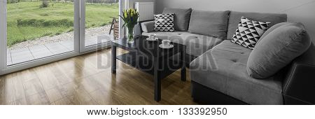 Comfortable Grey Couch