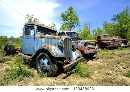 Old pickups  in various stages of disrepair are lined up in a junkyard