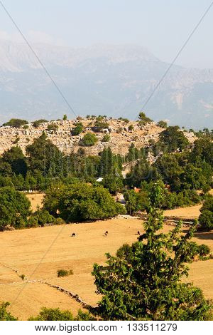 Ruins     From The Hill In  Turkey   And Nature