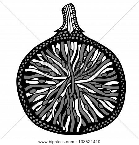 Download Fig Fruit Black White Vector & Photo (Free Trial) | Bigstock
