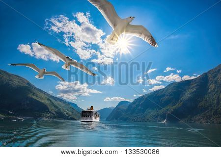 Beautiful fjords near the Flam in Norway