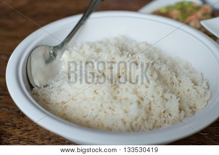 closed up the dish of steamed rice