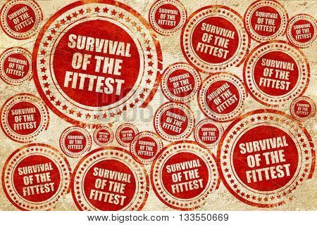 survival of the fittest, red stamp on a grunge paper texture