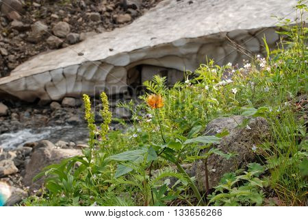 The Putorana Plateau. Streams gave rise to the river