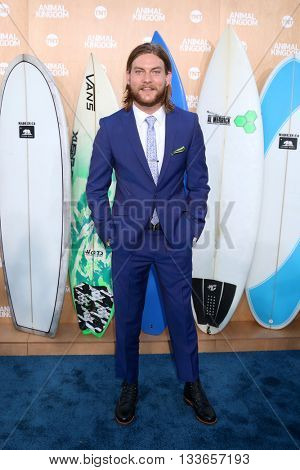 LOS ANGELES - JUN 8:  Jake Weary at the Animal Kingdom Premiere Screening at the The Rose Room on June 8, 2016 in Venice Beach, CA