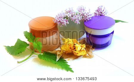 jar natural cream sprig set isolated on white background. Feminine beauty and cosmetics concept green branch of medical kolanhoe tropical succulent plant light liquid bright orange flower