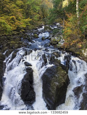 Trees in autumn colors above Black Linn waterfall in Perthshire Scotland