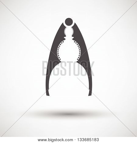 Nutcracker Pliers Icon